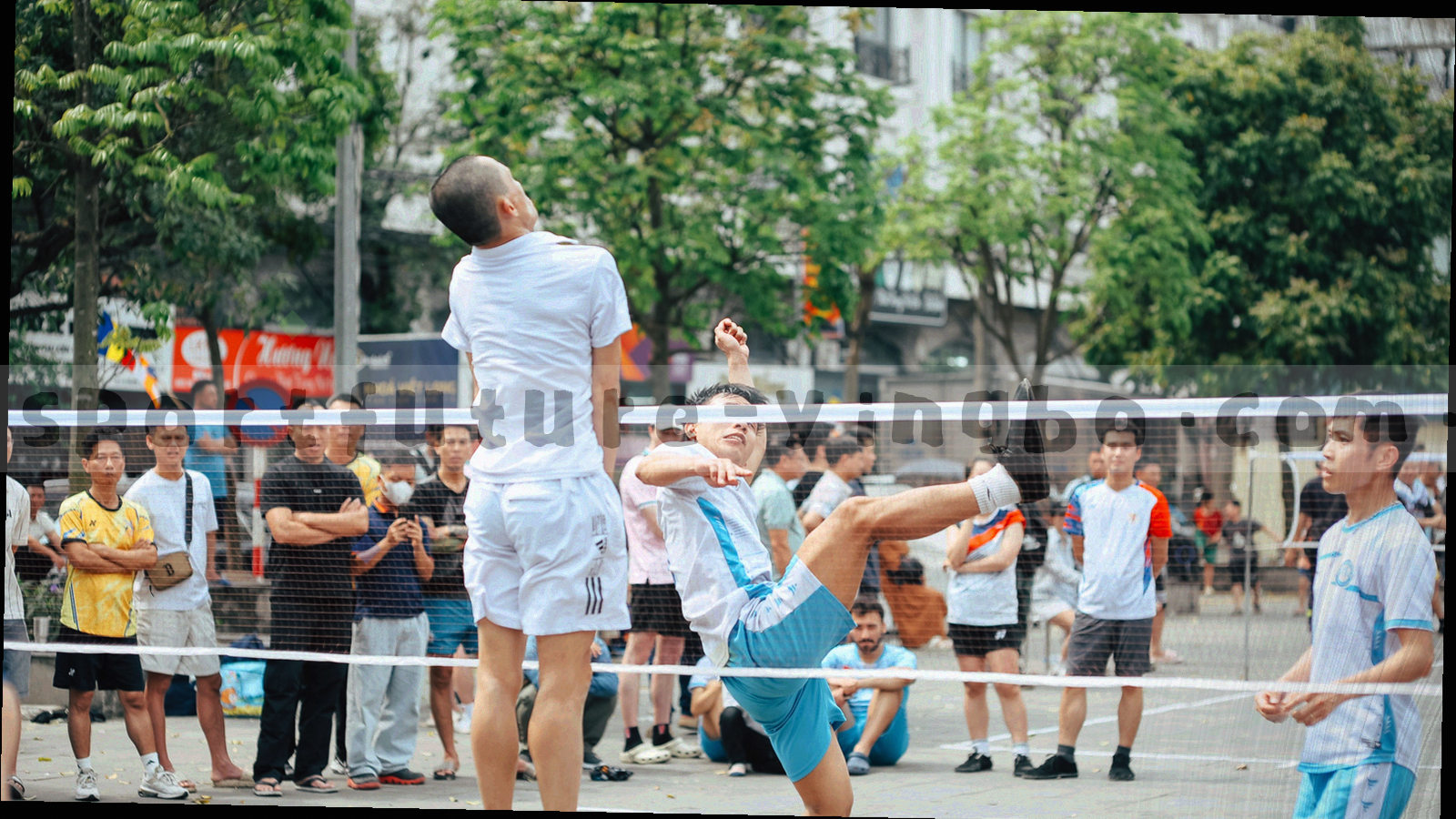 由球场俯视抽象出的几何线条与分区网格，无人物细节